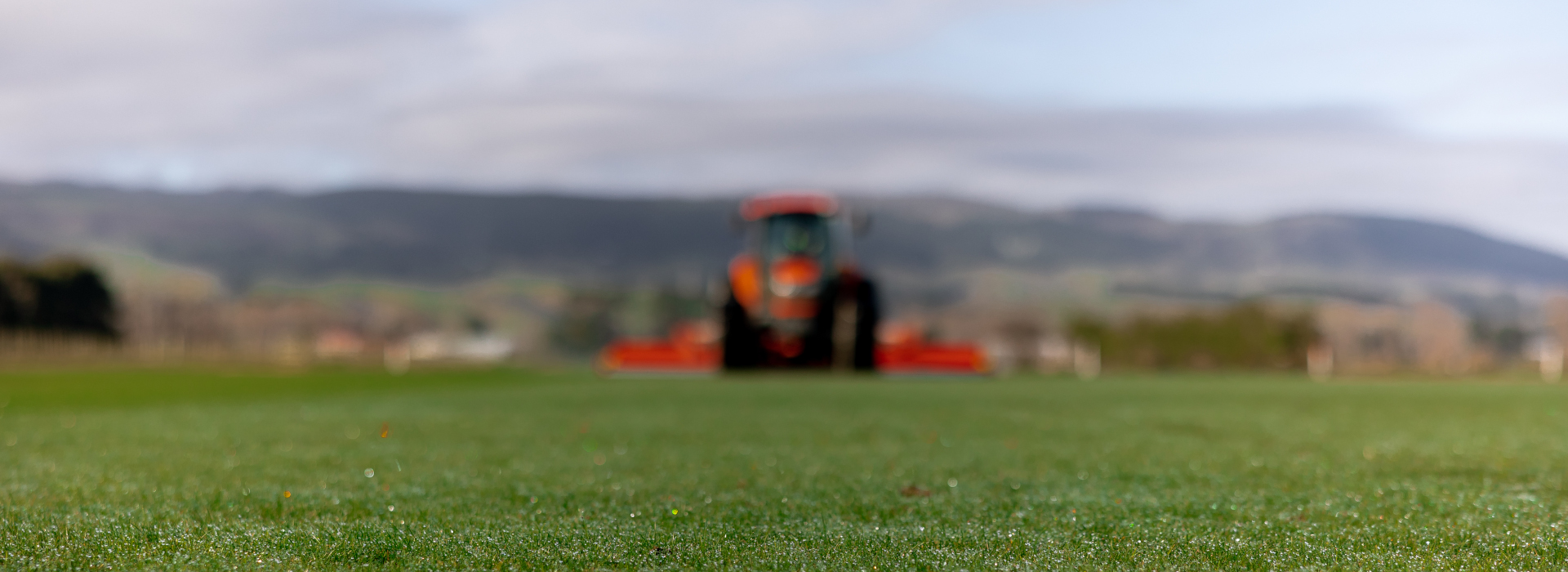 Turflands Lush Instant Ready Lawn and Turf Supplier throughout